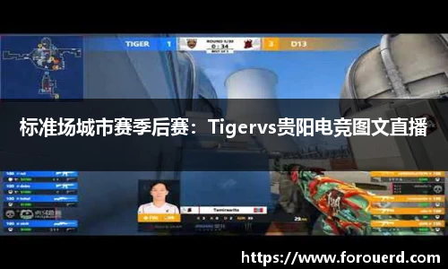 标准场城市赛季后赛：Tigervs贵阳电竞图文直播